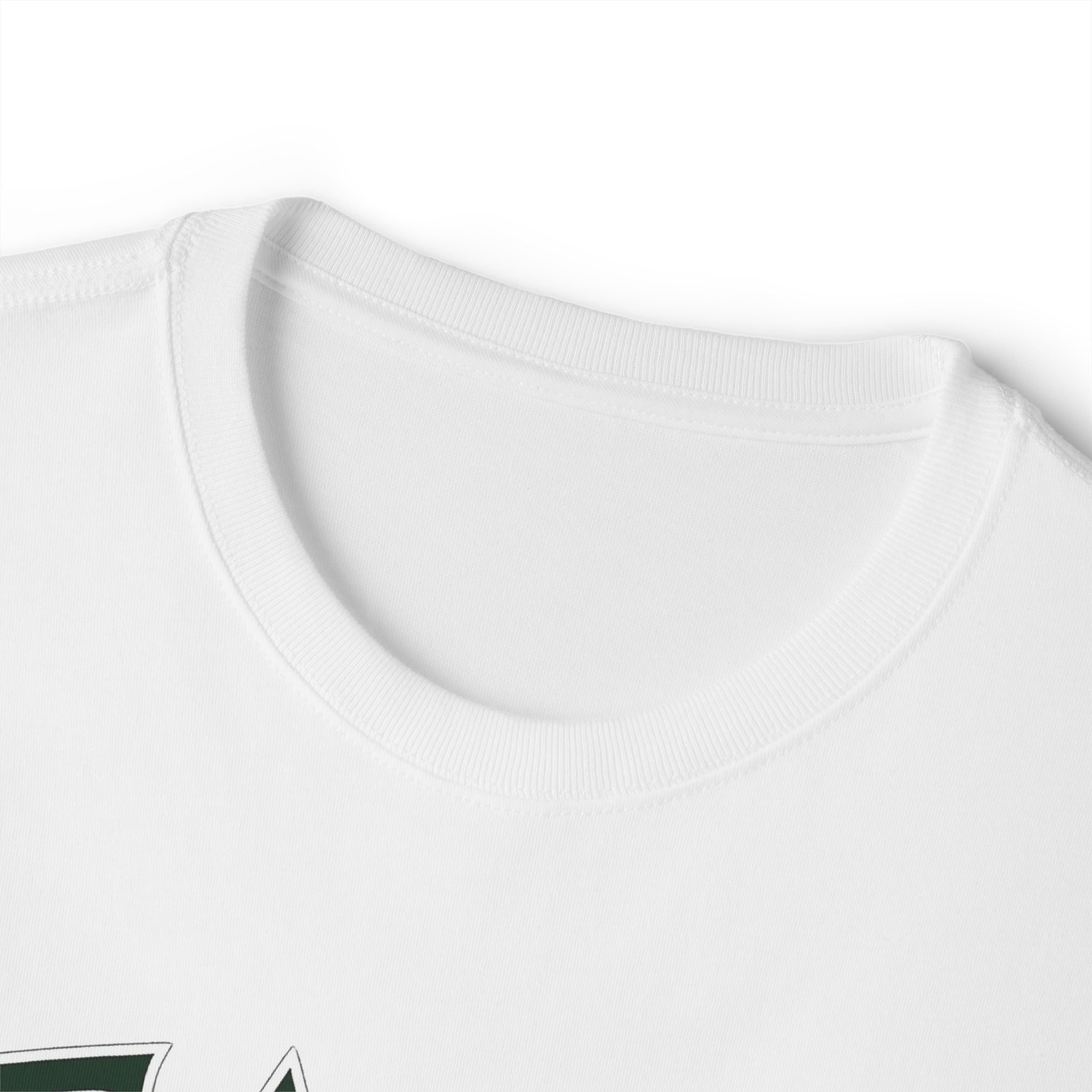 Eagle CMU Football Tee — Vintage College Football Shirt